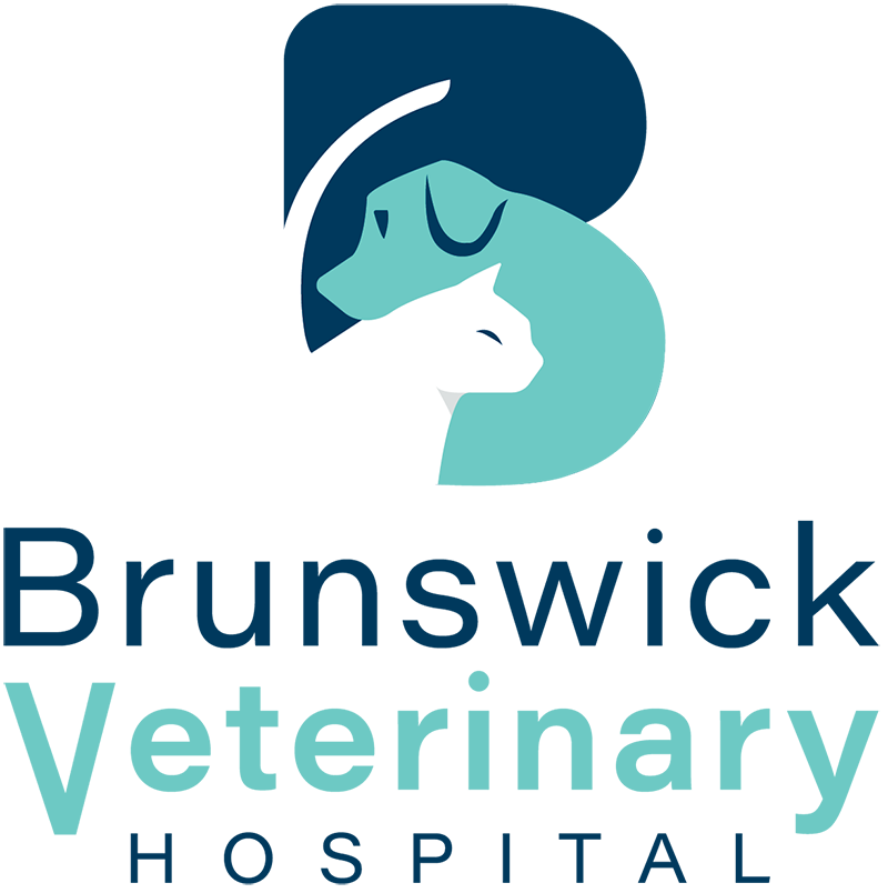 Brunswick Crossing Animal Hospital