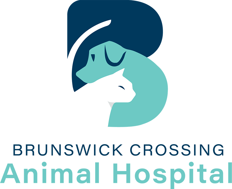 Brunswick Crossing Animal Hospital